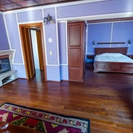Hotel Izvora 3*